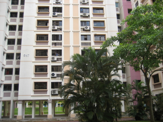 Serangoon North Avenue 3 (Serangoon), HDB 4 Rooms - For Rent #109490471